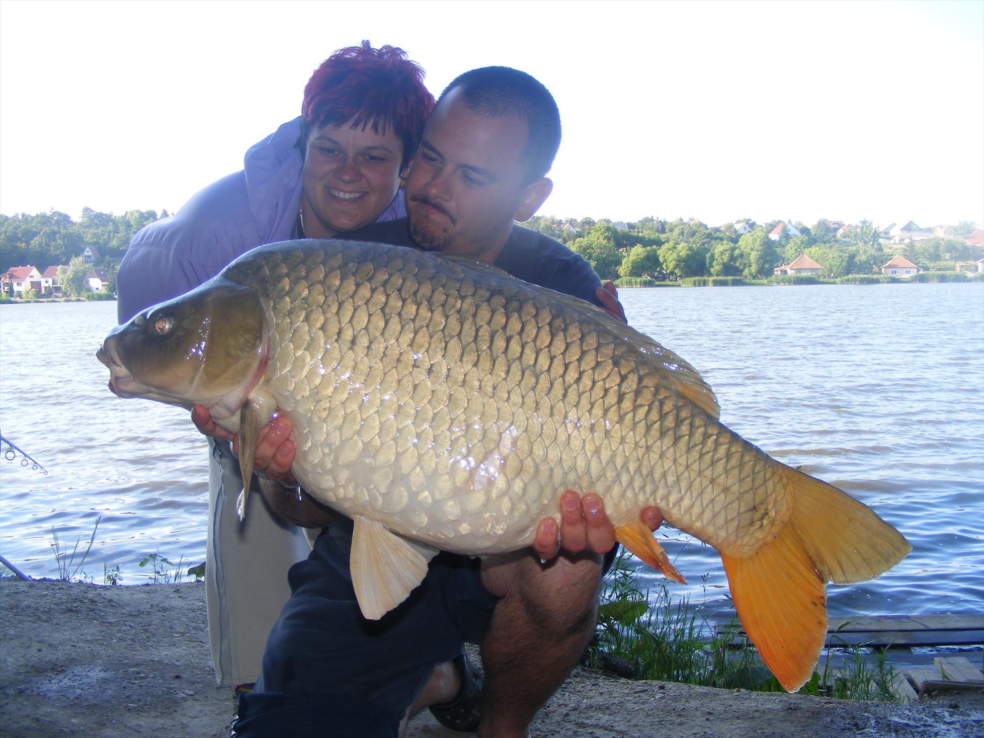 Harsanyi 2013 - dscf6305.JPG